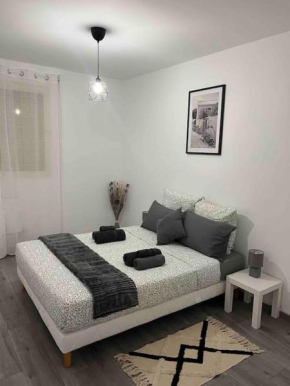 Appartement rénové - Vandoeuvre Lès Nancy